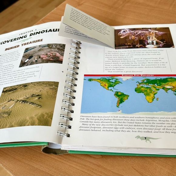 Time for Learning Dinosaurs book for Dino lovers great for beginners - Picture 4 of 10